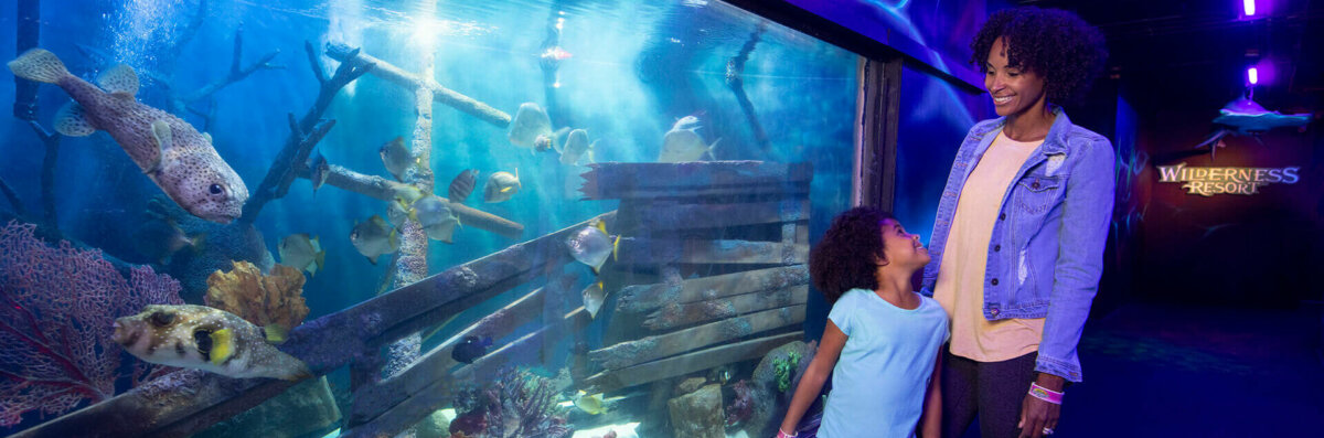 Wild Abyss Family Golf. Mom and daughter watching the fish in the aquarium.