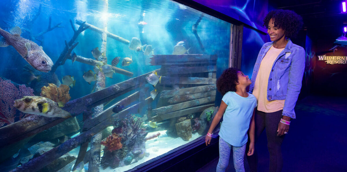 Wild Abyss Family Golf. Mom and daughter watching the fish in the aquarium.