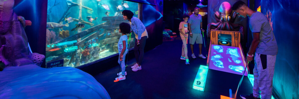 Wild Abyss Mini Golf inside Dodge 'Em City in the Wild West Region of the Wilderness Hotel