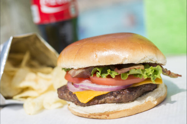 Wooly's Eatery located inside the Wild WaterDome Indoor Waterpark