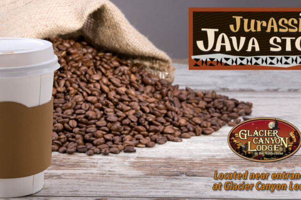 jurassic java stop located near entrance 2 at glacier canyon lodge
