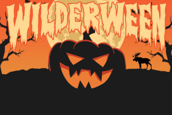 wilderween art image - pumkin jack o lantern