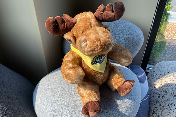 Moose Plush