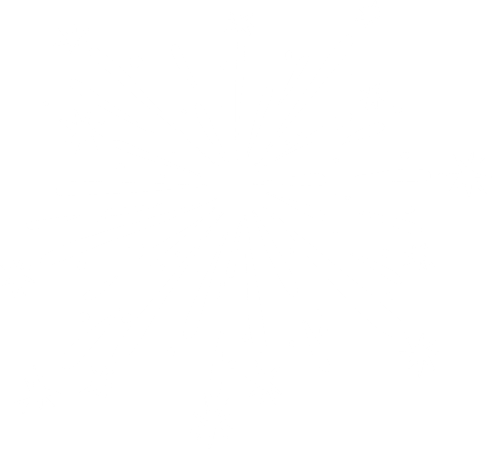 Fireworks Art