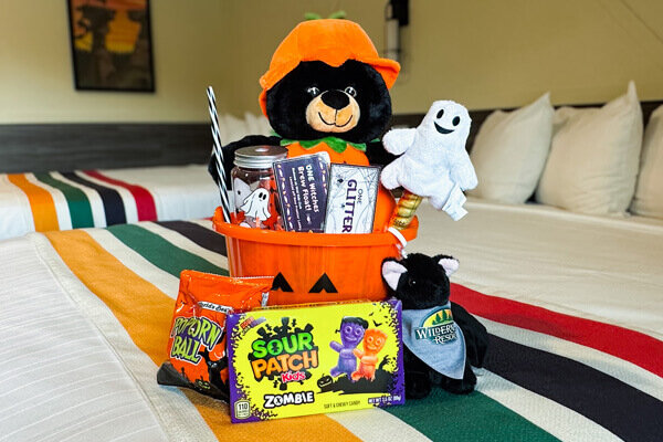 Halloween package at Wilderness Resort. Shows a Halloween bucket with items included in the special holiday package. Package is available to add to a stay during online booking during the month of October, while supplies last. Used as a mobile feature and gallery image for the marketing page, including details on items and cost.