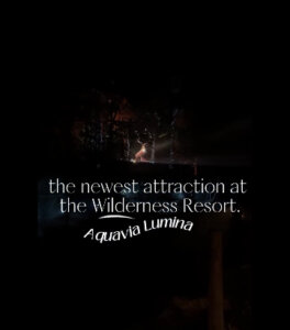 Aquavia Lumina at Wilderness Resort Wisconsin Dells post image link for @lasrecetasdelaura