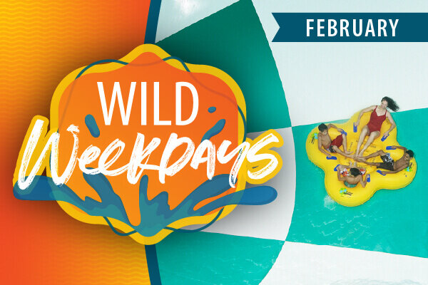 Wild Weekdays - February