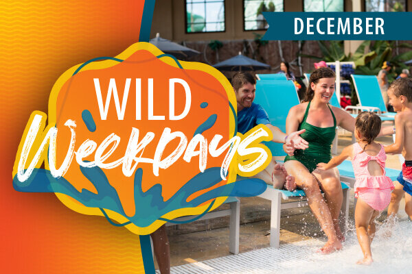 Wild Weekdays - December