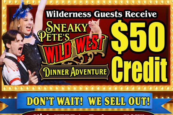 Dells Dinner Adventures Make Dinner Fun Wilderness Resort Guests $50 Credit Promo. Theater sign design background with two stage actors on the left, with the text 