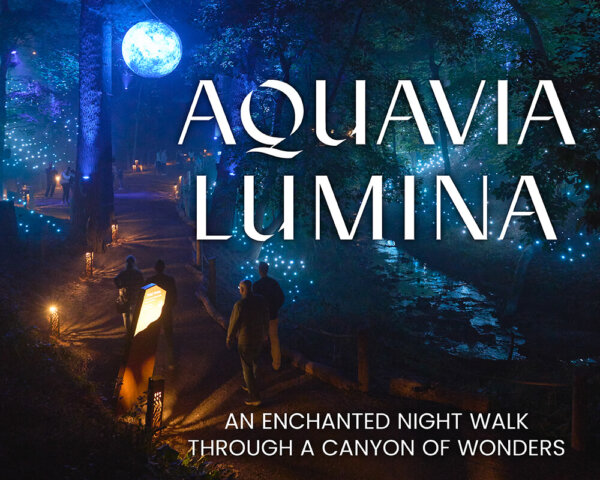 <b>AQUAVIA LUMINA</b>