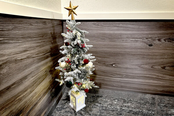 Wilderness Resort Christmas tree rental for your stay is shown in one of their hotel rooms.
